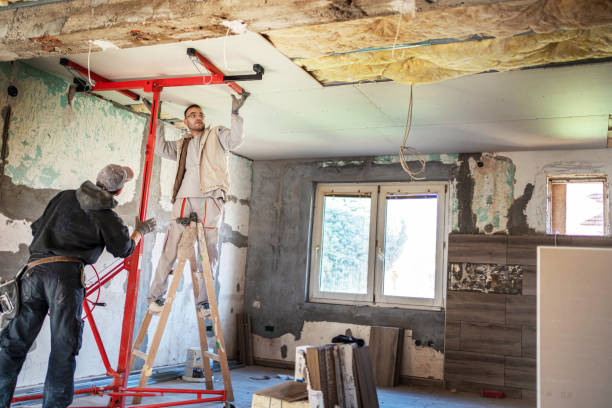 Best Attic Insulation Installation  in Merrill, IA