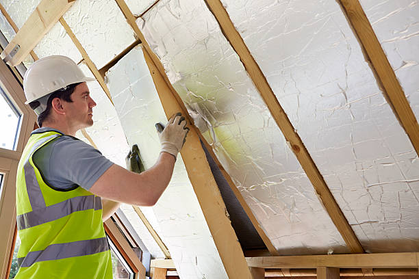 Best Spray Foam Insulation  in Merrill, IA